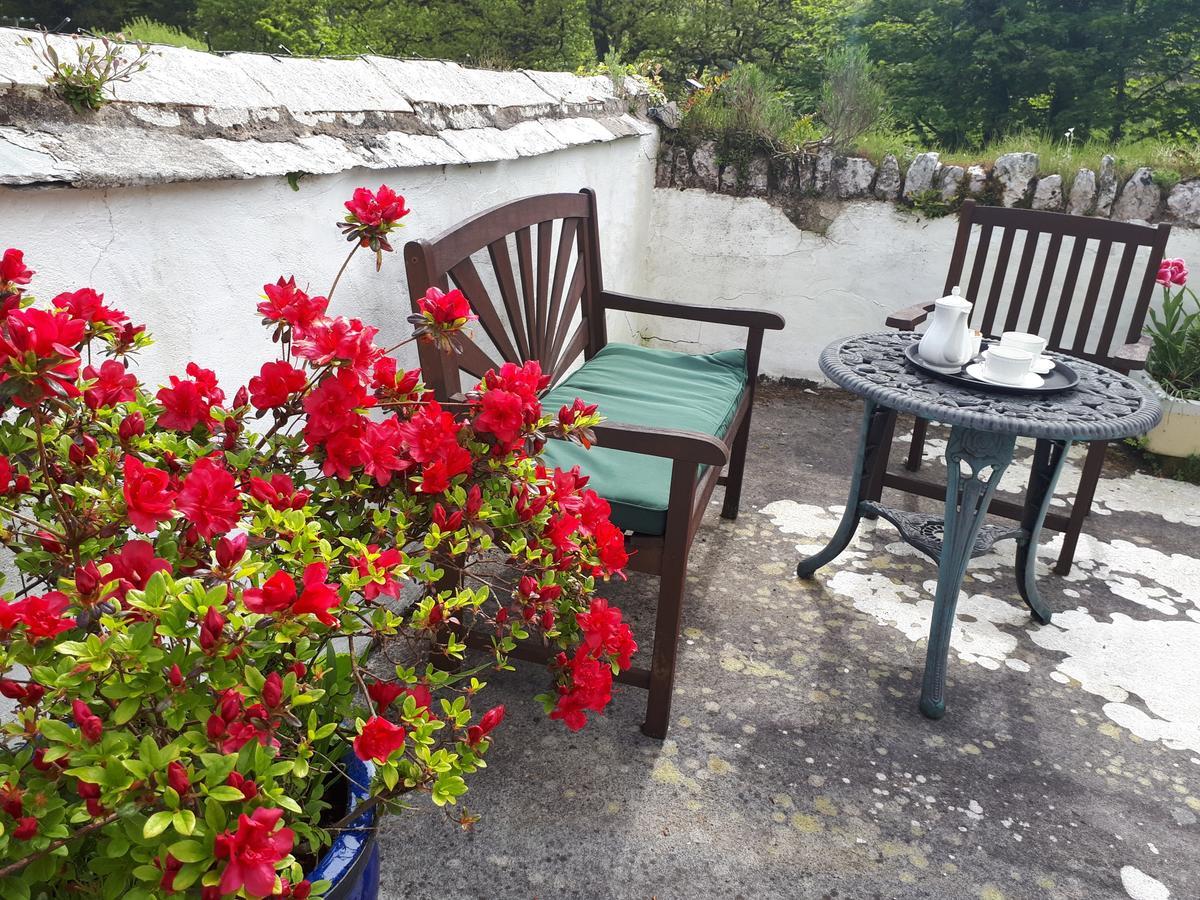 Score Valley Country House Ilfracombe Zewnętrze zdjęcie