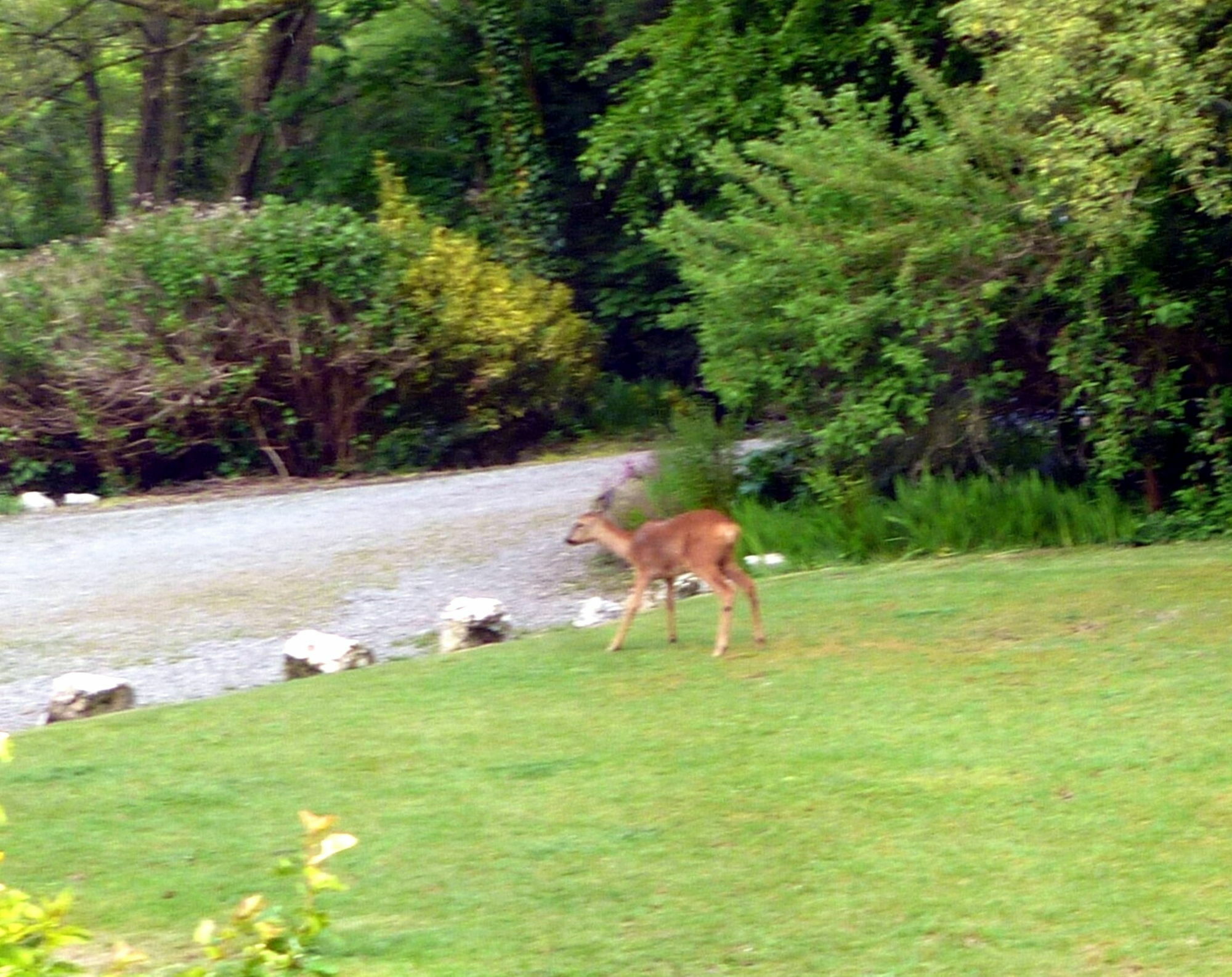 Score Valley Country House Ilfracombe Zewnętrze zdjęcie